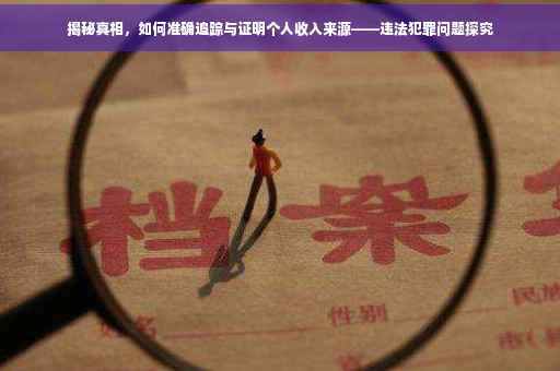 揭秘真相，如何准确追踪与证明个人收入来源——违法犯罪问题探究