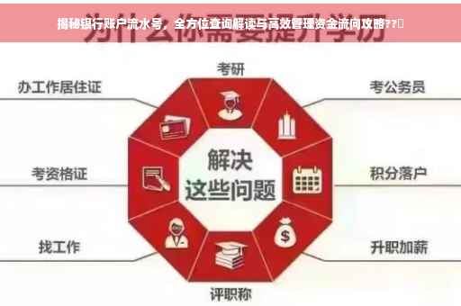 揭秘银行账户流水号，全方位查询解读与高效管理资金流向攻略??✨
