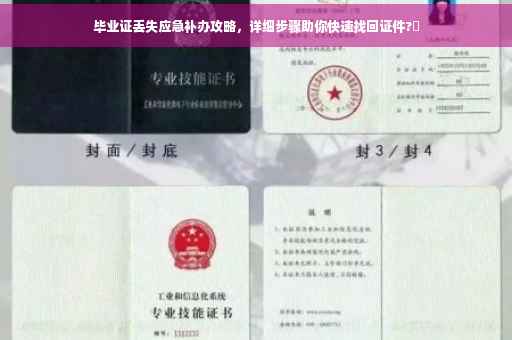 毕业证丢失应急补办攻略，详细步骤助你快速找回证件?✨