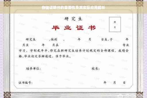 存储证明书的重要性及其实际应用解析
