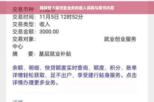 揭秘新大陆贷款业务的收入真相与细节内幕