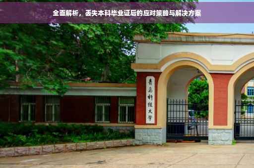 全面解析，丢失本科毕业证后的应对策略与解决方案