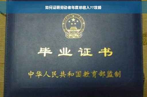 如何证明劳动者年度总收入??攻略