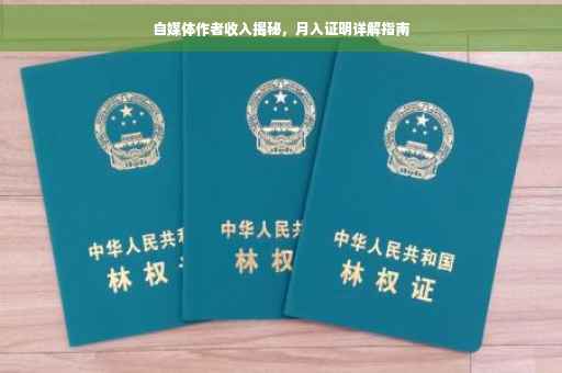 自媒体作者收入揭秘，月入证明详解指南