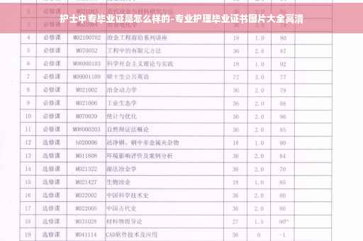 护士中专毕业证是怎么样的-专业护理毕业证书图片大全高清