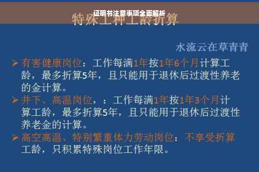 证明书注意事项全面解析
