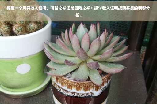 提前一个月开收入证明，明智之举还是冒险之举？探讨收入证明提前开具的利弊分析。