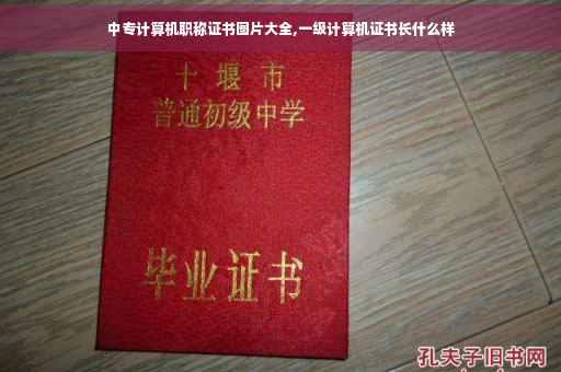 中专计算机职称证书图片大全,一级计算机证书长什么样 中专计算机职称证书图片大全,一级计算机证书长什么样