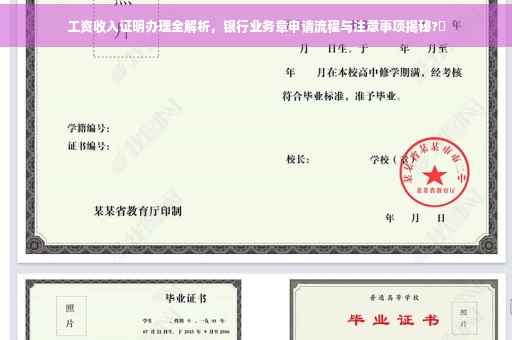 工资收入证明办理全解析，银行业务章申请流程与注意事项揭秘?✨
