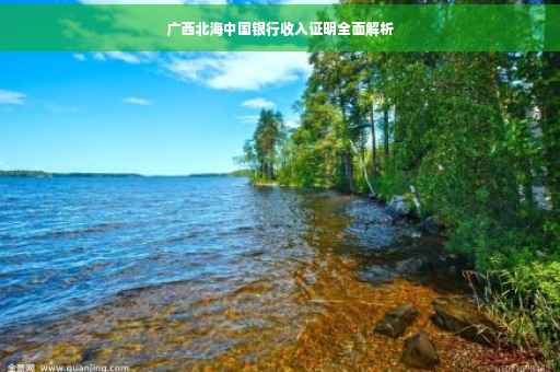广西北海中国银行收入证明全面解析