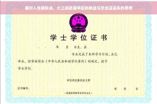 面对人生转折点，大三自动退学后的挑战与毕业证丢失的思考