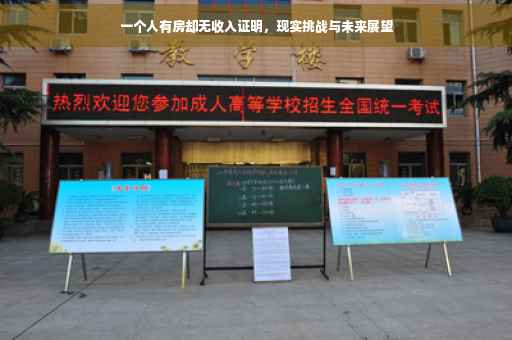 一个人有房却无收入证明，现实挑战与未来展望