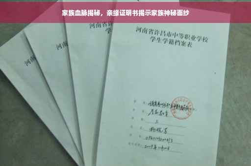 家族血脉揭秘，亲缘证明书揭示家族神秘面纱