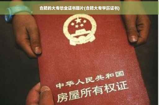 合肥的大专毕业证书图片(合肥大专学历证书)