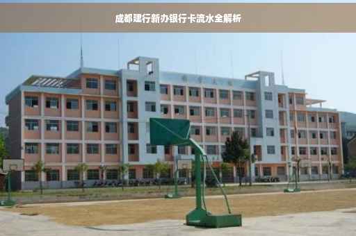 成都建行新办银行卡流水全解析