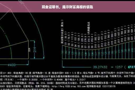 现金证明书，揭示财富真相的钥匙