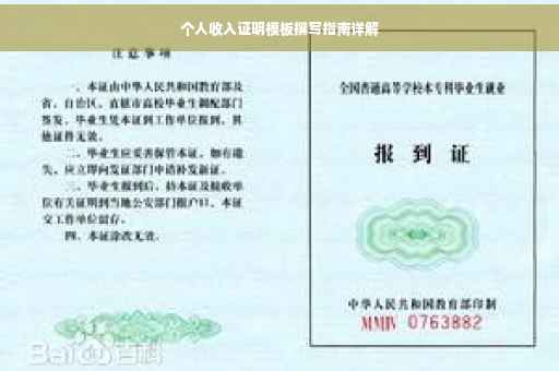 个人收入证明模板撰写指南详解