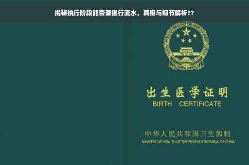 揭秘执行阶段能否查银行流水，真相与细节解析??