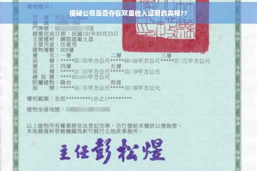 揭秘公司是否存在双重收入证明的真相??