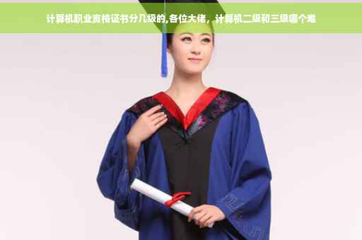 计算机职业资格证书分几级的,各位大佬，计算机二级和三级哪个难