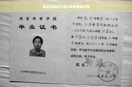 轻松掌握银行流水明细查询步骤