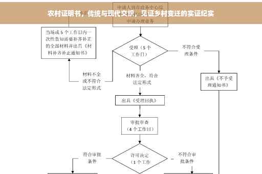 农村证明书，传统与现代交织，见证乡村变迁的实证纪实