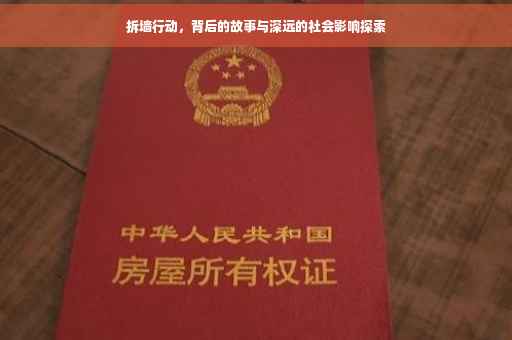 拆墙行动，背后的故事与深远的社会影响探索