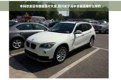 本科毕业证书模板图片大全,四川长宁高中毕业证是什么样的