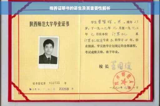 抱养证明书的诞生及其重要性解析
