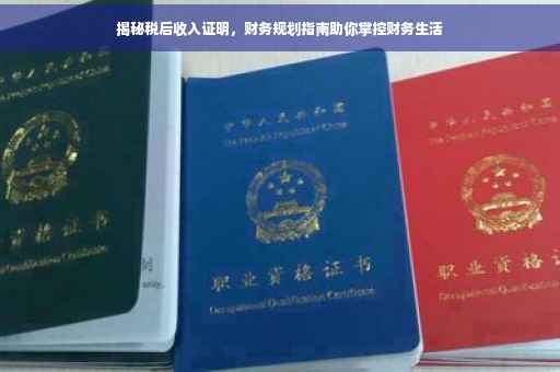 揭秘税后收入证明，财务规划指南助你掌控财务生活