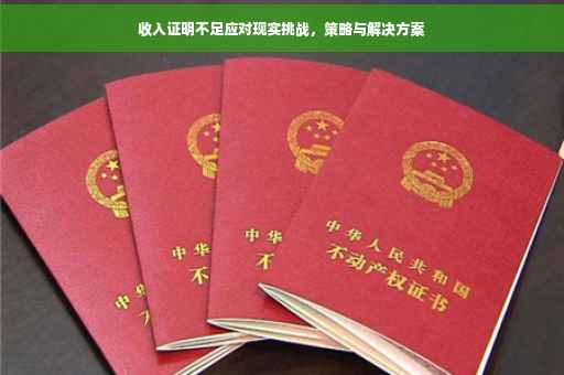 收入证明不足应对现实挑战，策略与解决方案