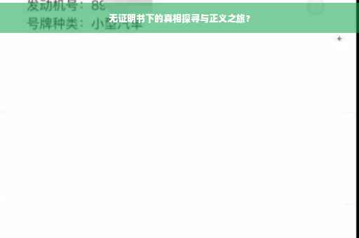 无证明书下的真相探寻与正义之旅?