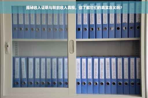 揭秘收入证明与税前收入真相，你了解它们的真实含义吗？
