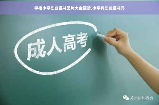 学校小学毕业证书图片大全高清,小学有毕业证书吗