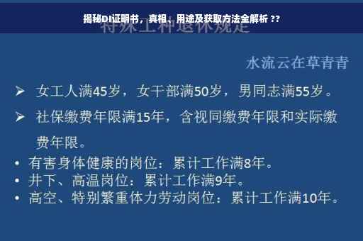 揭秘DI证明书，真相、用途及获取方法全解析 ??