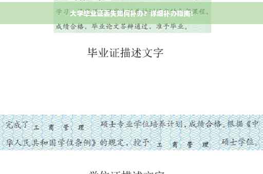 大学毕业证丢失如何补办？详细补办指南！