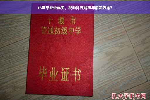 小学毕业证丢失，视频补办解析与解决方案?