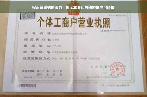 探索证明书的魔力，揭示其背后的秘密与应用价值
