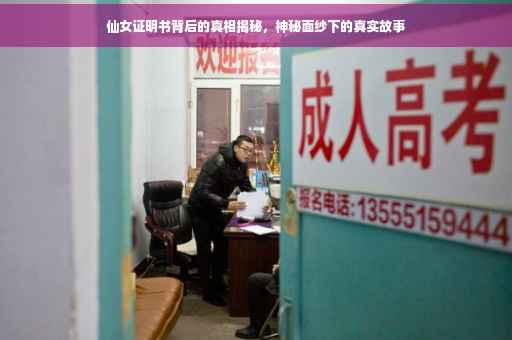 仙女证明书背后的真相揭秘，神秘面纱下的真实故事