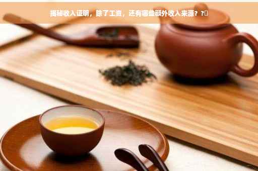 揭秘收入证明，除了工资，还有哪些额外收入来源？?✨