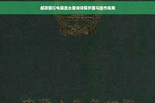 邮政银行电脑流水查询详细步骤与操作指南 邮政银行电脑流水查询详细步骤与操作指南