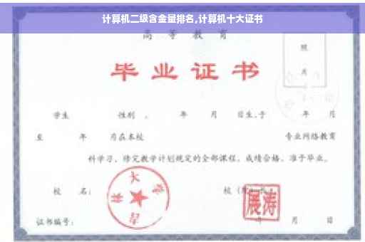 计算机二级含金量排名,计算机十大证书