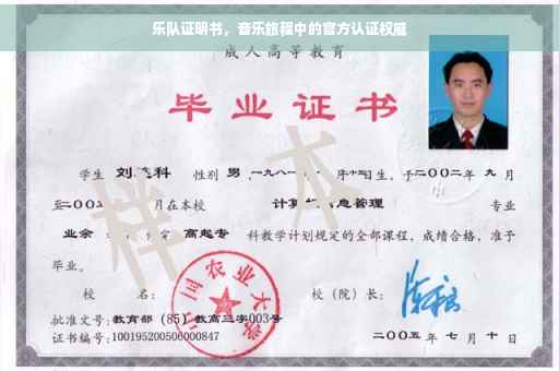 乐队证明书，音乐旅程中的官方认证权威