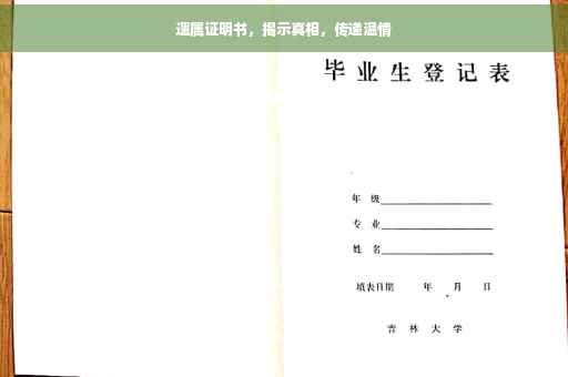 遗属证明书，揭示真相，传递温情