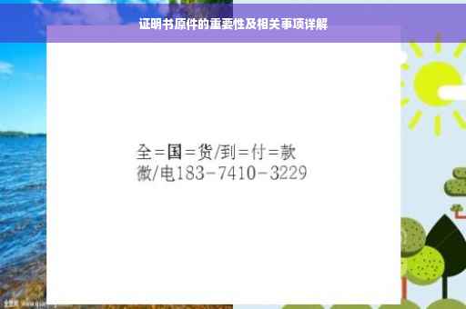 证明书原件的重要性及相关事项详解