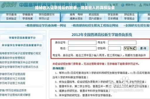 揭秘收入证明背后的故事，现金收入的真相探索