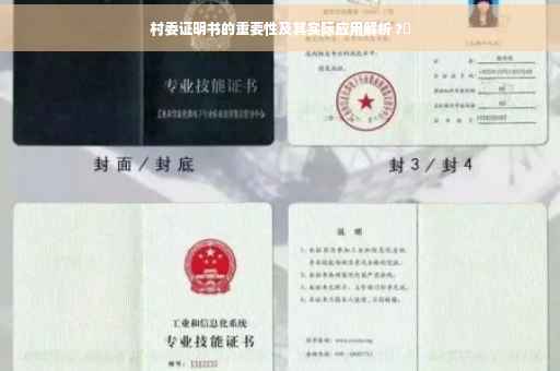 村委证明书的重要性及其实际应用解析 ?⚡