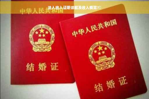 法人收入证明详解及收入概览?✨