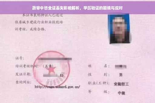 政审中毕业证丢失影响解析，学历验证的困境与应对