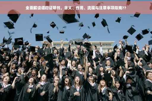 全面解读遣归证明书，含义、作用、流程与注意事项指南??